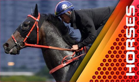 crazy wager 247|everysport247.
